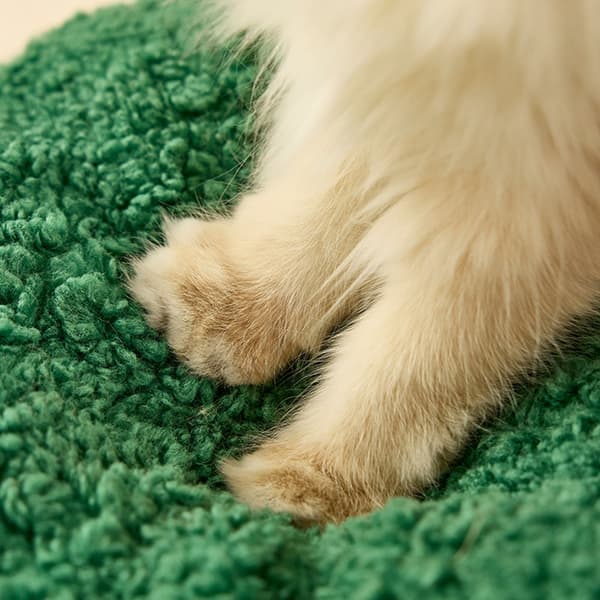 Vinter kæledyrsseng jule design varm plys katte hundehus til julepynt null - Christmas stocking n M