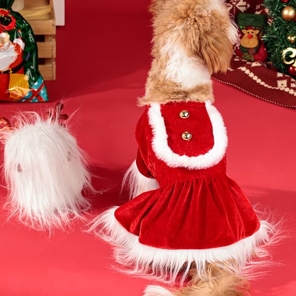 Sammetstomteklänning Hundkläder Set Röd Julvalpskläder Fotoklar null - Red woolen skirt M