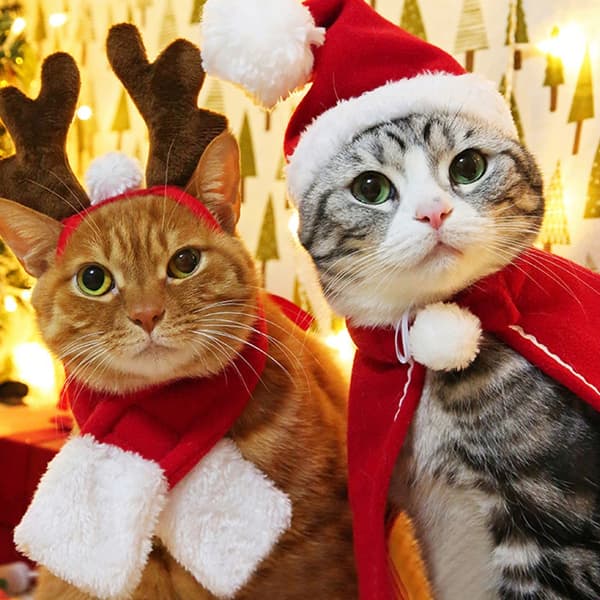Kæledyrs julekapper kostume til katte festlig fotografering polyester materialer behagelig pasform S