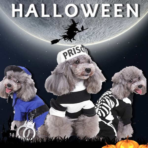 Dejlige hunde jumpsuit julehunde pullover med hattesæt til Halloween Cosplay null - SDZ22 skull skeleton S