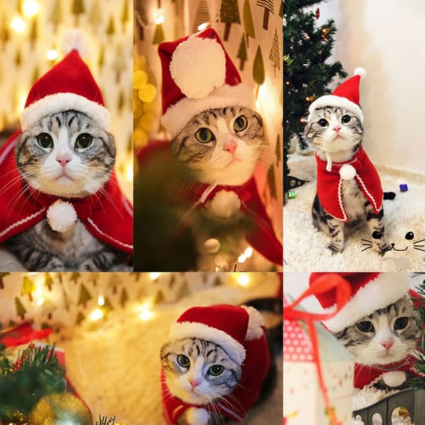 Kæledyrs julekapper kostume til katte festlig fotografering polyester materialer behagelig pasform M