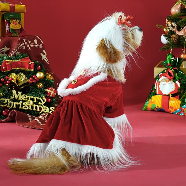 Sammetstomteklänning Hundkläder Set Röd Julvalpskläder Fotoklar null - Red woolen skirt S