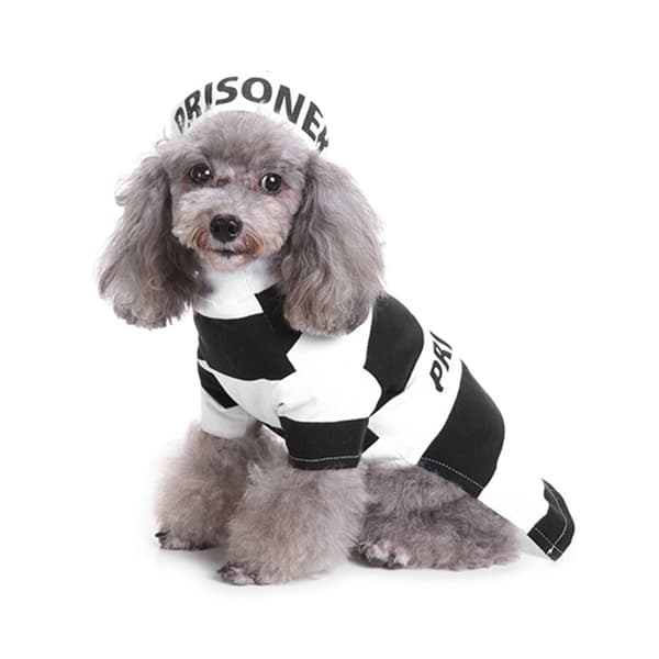 Dejlige hunde jumpsuit julehunde pullover med hattesæt til Halloween Cosplay null - SDZ15 Ghost set S