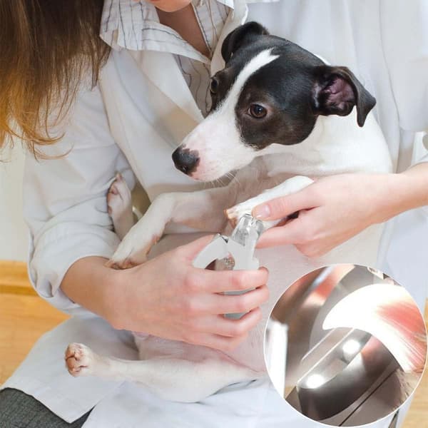 Katteklosaks - Kæledyrsnegleklipper til katte og hunde - Praktisk plejeværktøj med sikkerhedsdesign Black
