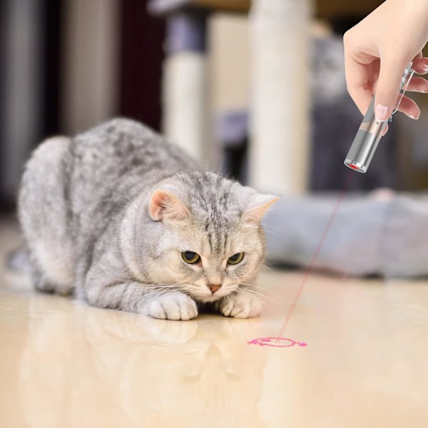 Katt Leksaker för Innekatter, 2 Stycken, Laddningsbara, Interaktiv Katt- och Hundleksak med Röd Punkt för Jakt, Rolig Lek och Träning...
