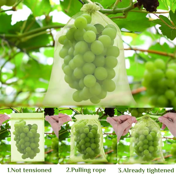 Grape Cluster Protection Bag, 60 Pieces 3 Sizes Fruit Protection
