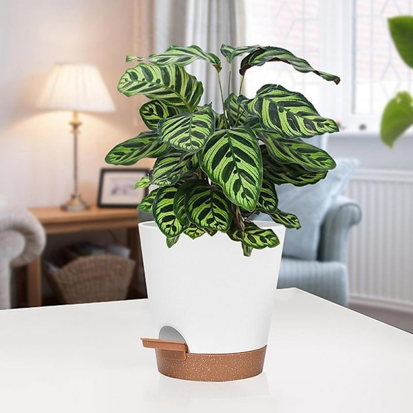 10-pakning - Selvvanningspotte / Selv-vanning / Blomstervanner Hvit Hvit White 10-Pack