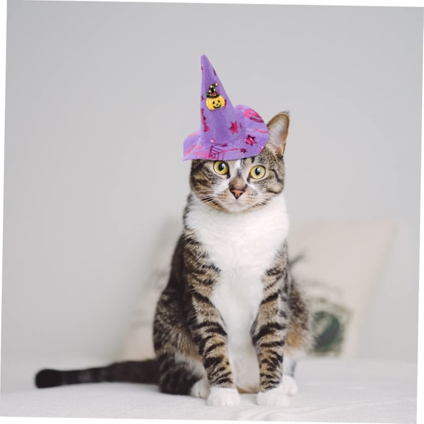 5 kpl hiustarvikkeita Halloween-rekvisiittaa varten, kissa-velhon hattu, koiran noitahattu, koiran Halloween-päähine, kartiohatut, noitahattu