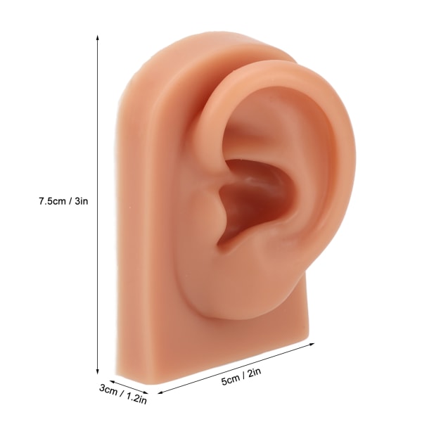 3D Piercing Practice Öronmodell Mörk hudfärg Mjuk silikonöronmodell för örhängen Display Akupunktur Vänster