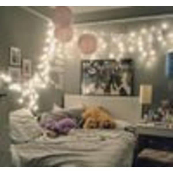 100M 600 LED String Light Carnival Wedding Outdoor Indoor Garden Lighting