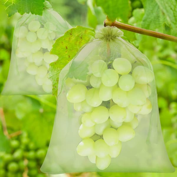 Grape Cluster Protection Bag, 60 Pieces 3 Sizes Fruit Protection