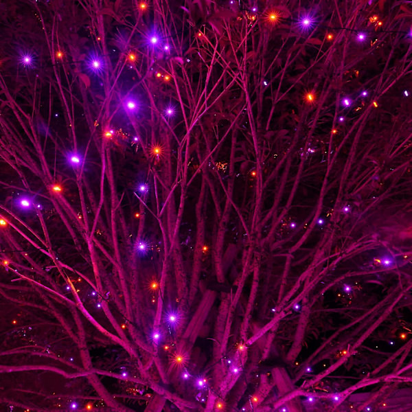 Lysstreng med 200 LED-lys, 20 meter lang, til julebelysning Lilla og Orange Purple and Orange 400 LEDs