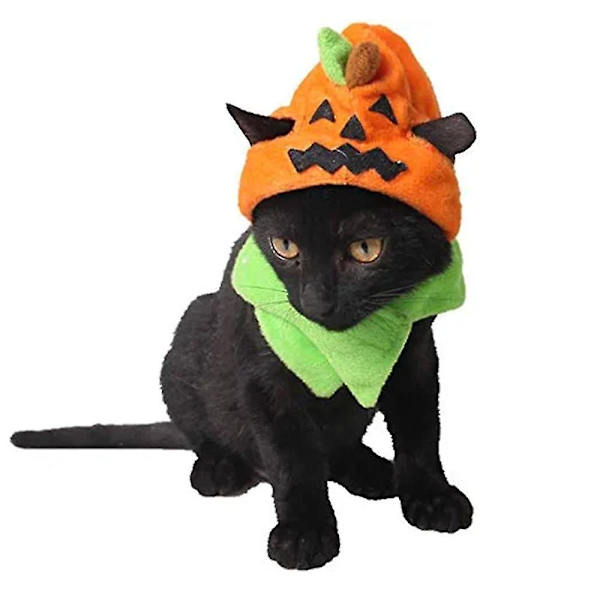 Halloween Huvudbonader för Katter och Hundar