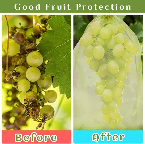 Grape Cluster Protection Bag, 60 Pieces 3 Sizes Fruit Protection
