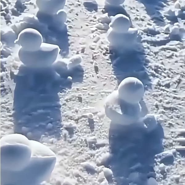 Alt i ét sneboldssæt med and, snemand og hjerteforme Snowball Clips (Random 4 Pieces)