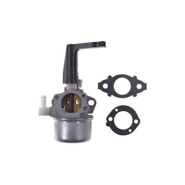 Briggs & Stratton 799866 Kaasutin Korvaa 796707/794304, Kaasutintyyppi Asennustiivisteellä--{ee]