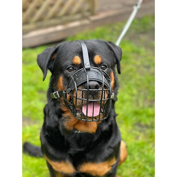 VAHVA metalliverkko-kuonokori Koiran kuonokori Rottweilerille, Mastiffille, Golden Retrieverille ja muille (R1, musta/musta nahka)