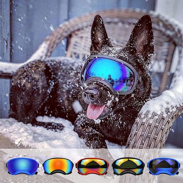 Adjustable Dog Goggles Pet Anti-UV Sunglasses