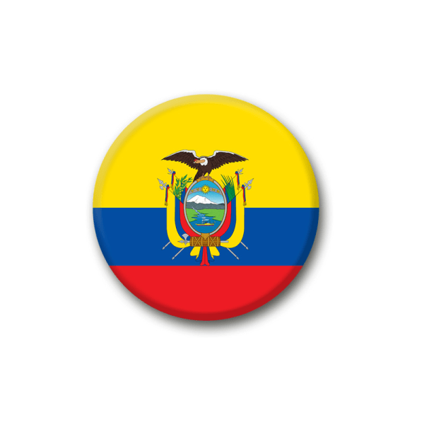 32 stk. VM-flag broche