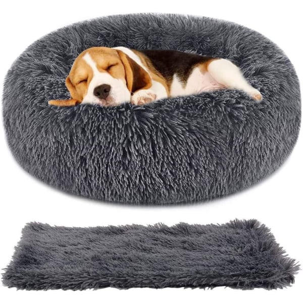 Säng för katt, hundkudde, fluffigt set med filt