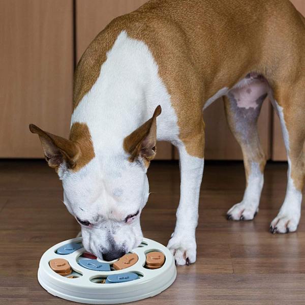 Matningsleksaker för hundar, intelligenta hundpussel
