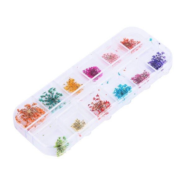 12 Farver Naturlige Tørrede Blomster til Akryl UV Gel Neglekunst Tips Design Etui DIY Dekoration A