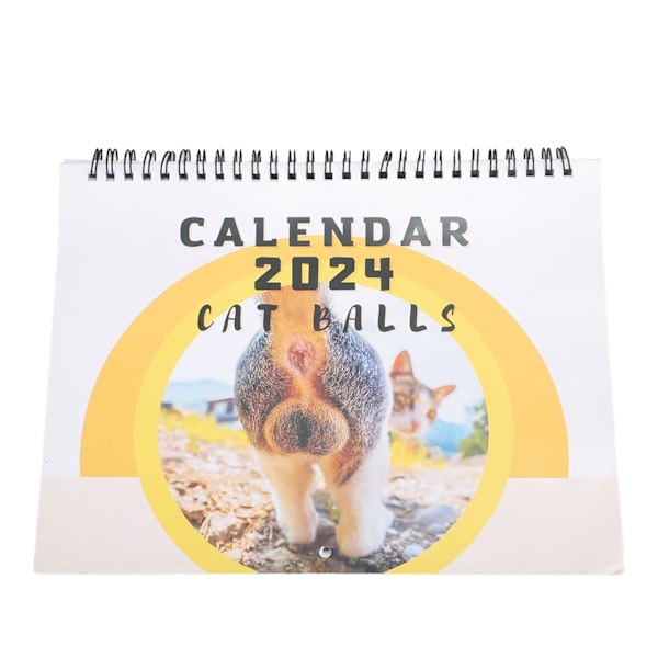 Katt-Ball-Bakkalender Rolig 12 Månader Söt 2024 Katt-Bakdelskalender för Sovrum Kontor
