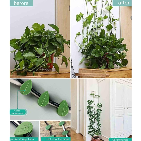 Växtklämmor för vinväxter Självhäftande väggfästeklämmor Växthållare Gröna bladformade växtklättringshjälpmedel 10 PCS
