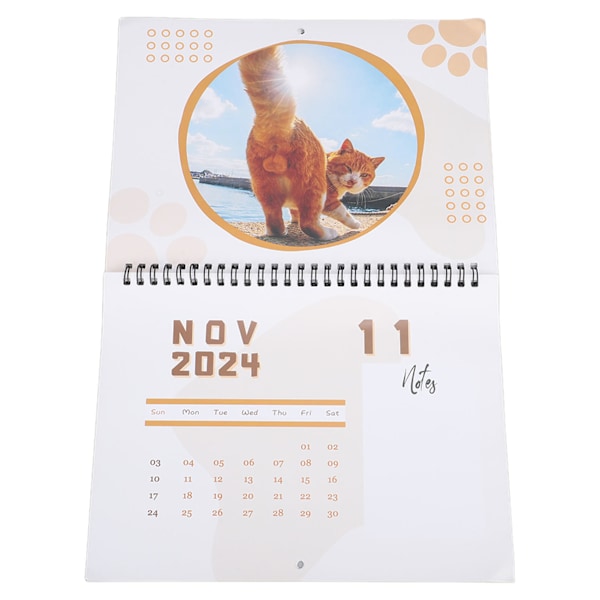 Katt-Ball-Bakkalender Rolig 12 Månader Söt 2024 Katt-Bakdelskalender för Sovrum Kontor