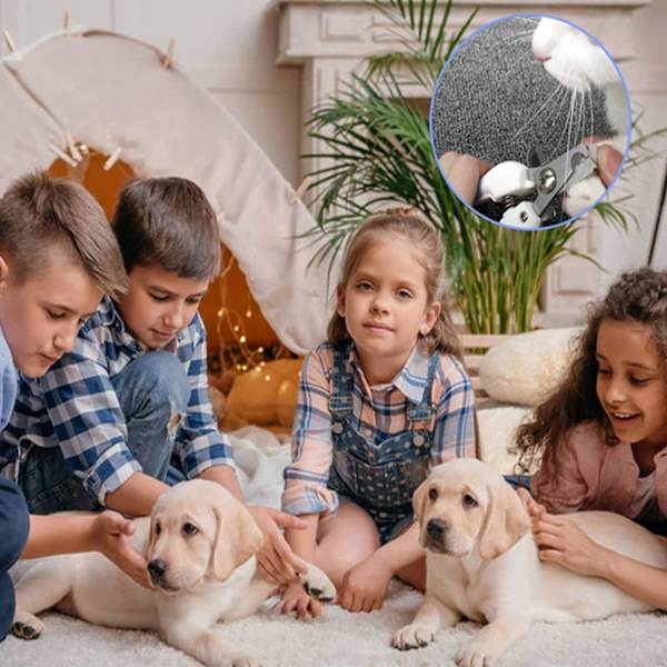 Kynsienleikkurit koirille ja kissoille