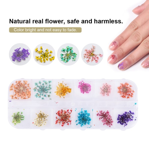 12 Farger Naturlige Tørkede Blomster for Akryl UV Gel Neglekunst Tips Design Etui DIY Dekor A