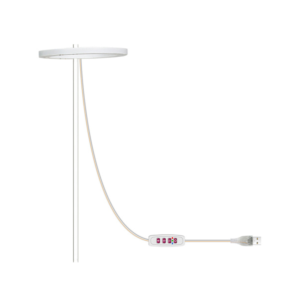 LED Plant Vækstlys 5 Dæmpbare Tilstande Timing USB LED Plant Lampe til Sukkulenter Potteplanter