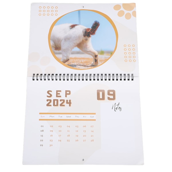 Katt-Ball-Bakkalender Rolig 12 Månader Söt 2024 Katt-Bakdelskalender för Sovrum Kontor