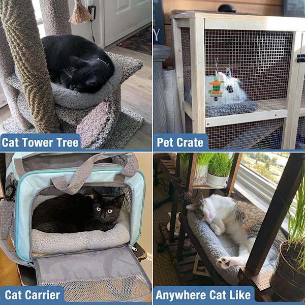 Kattbädd för kattungar, mysig och mjuk