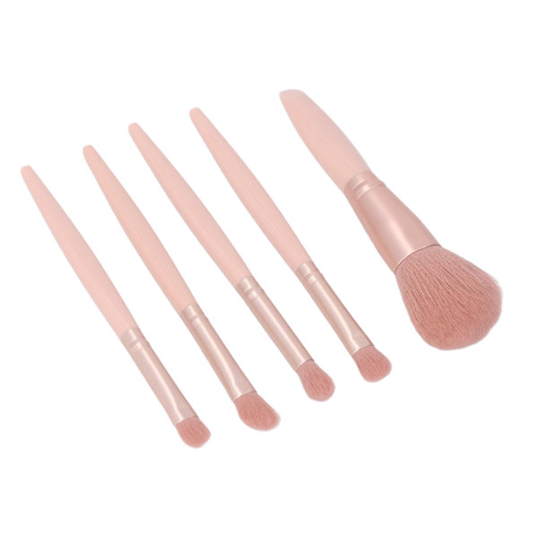 5-pack Sminkborste Set Bärbar Multifunktionell Kosmetisk Borste Set med Spegelask Aprikosrosa