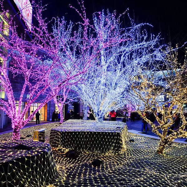 Julefestival Ins Dekorative Lys Led Snefnug Lys Kæde Romantisk Batteriboks Color 10 M 80led(USB)
