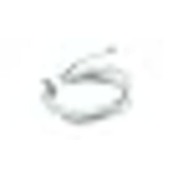 Apple USB-C till Lightning-kabel (2m) vit