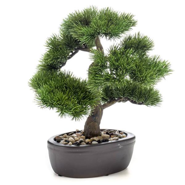 Emerald Art bonsai furu med brun potte 32 cm Grønn