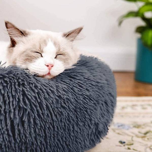 Seng for katt, hundepute, myk kattesengsett med teppe
