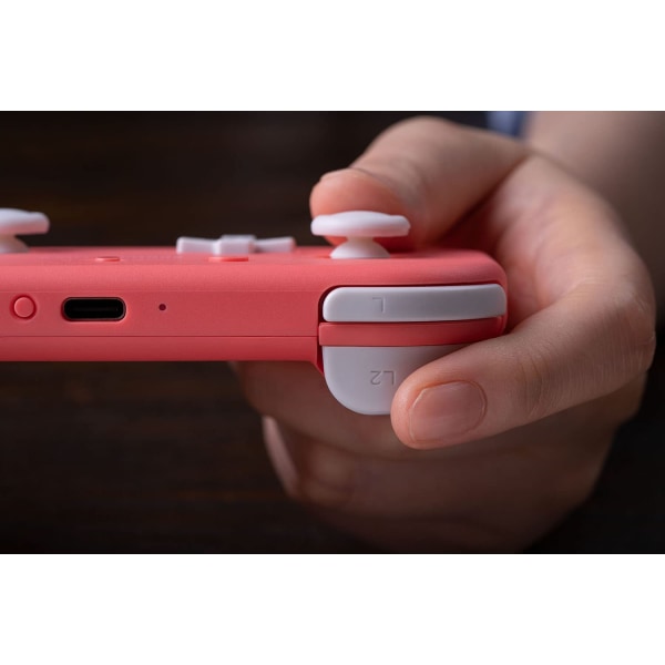 8BitDo Lite 2 BT Spelkontroll (Switch, Android, Raspberry Pi)