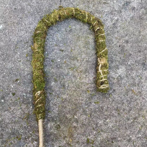 Sammalkeppi, Sammalkeppi, Kiipeilykeppi