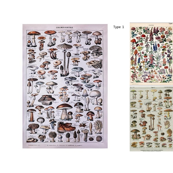 Gobelängsmushroom TYP 3 TYP 3