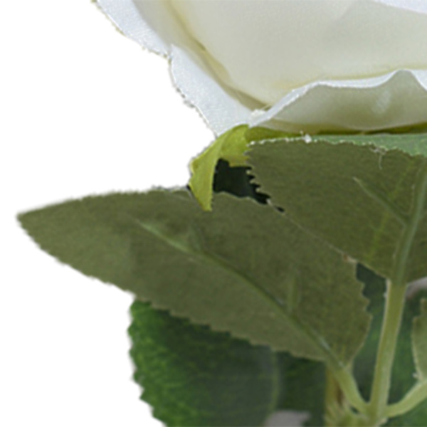Simulerad Silke Rosor Hem Vardagsrum Simulation Blommor Dekorativa Ornament Artificiella Enskilda Silke Rosor Vita