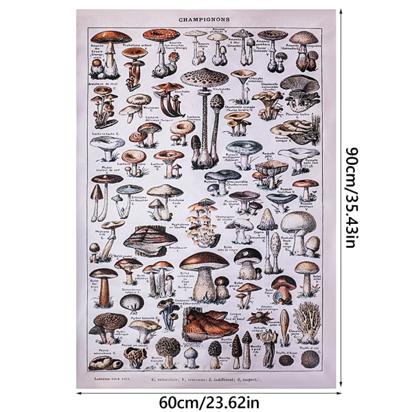 Gobelängsmushroom TYPE 3 TYPE 3