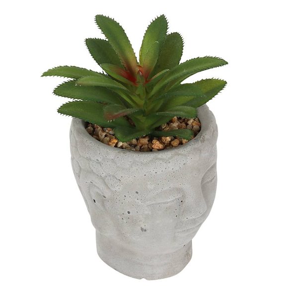 Noe annet Buddha hodeplanter En størrelse Grå En størrelse