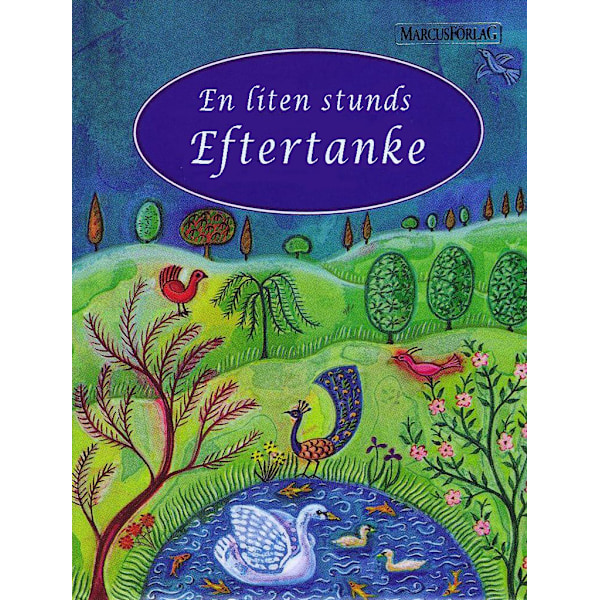 En liten stunds eftertanke 9789179994112