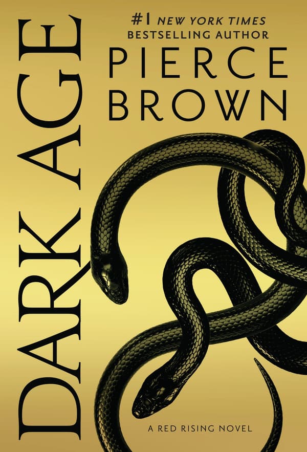 Dark Age 9780425285961