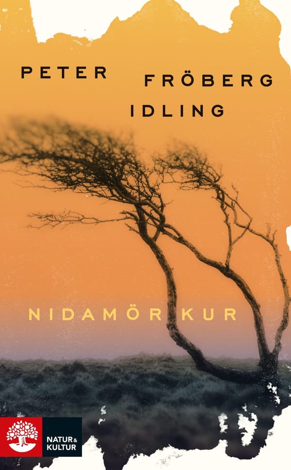 Nidamörkur 9789127173170
