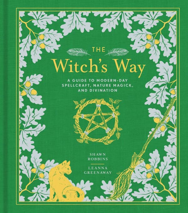 The Witch's Way 9781454930822