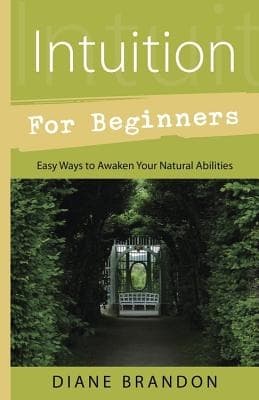 Intuition for Beginners 9780738733357